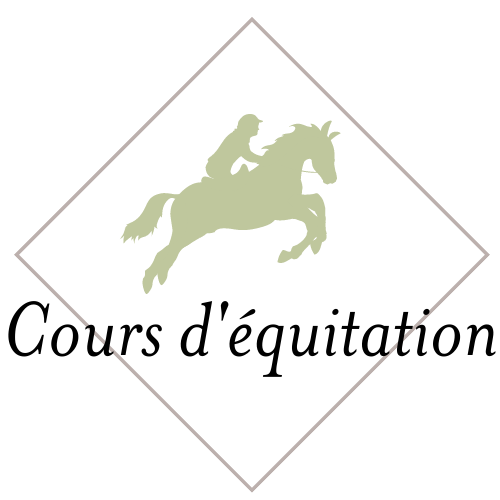 Picto animé Gif Cours école équitation