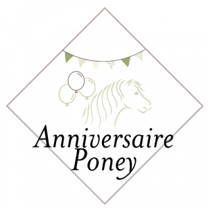 Picto Anniversaire Poney