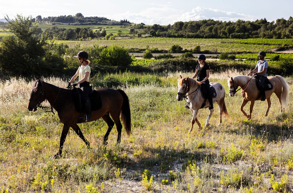 Entraînement TREC