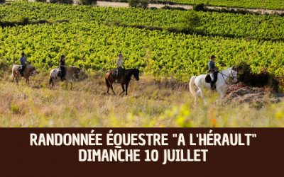 Randonnée équestre « A l’Hérault »
