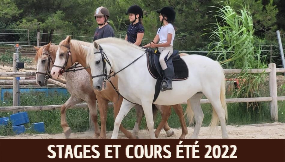 Stages et cours de cet été