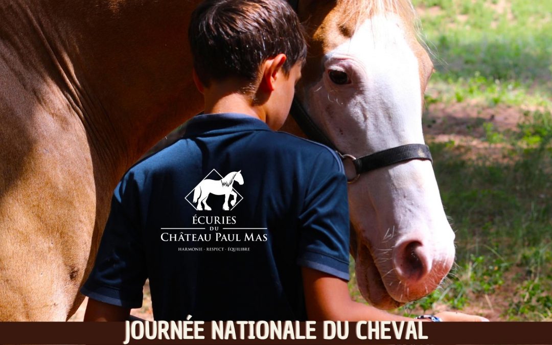 Affiche Journée du Cheval