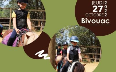 Bivouac