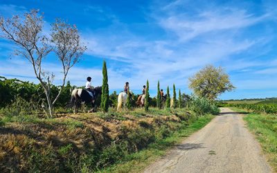 Planning des stages des vacances de Toussaint