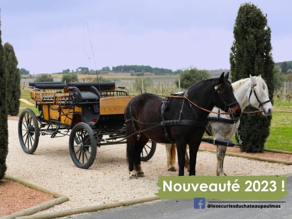 Nouveauté 2023 !