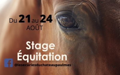 Stage Equitation été 2023