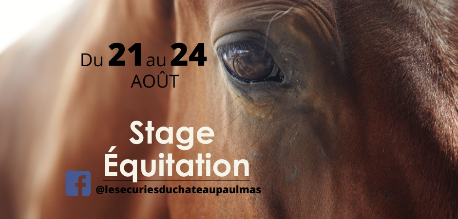 Stage Equitation été 2023