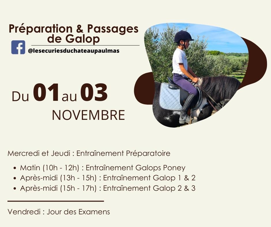 Passages de Galop- Ecuries du Château Paul Mas