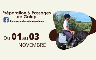 Préparation & Passages de Galop