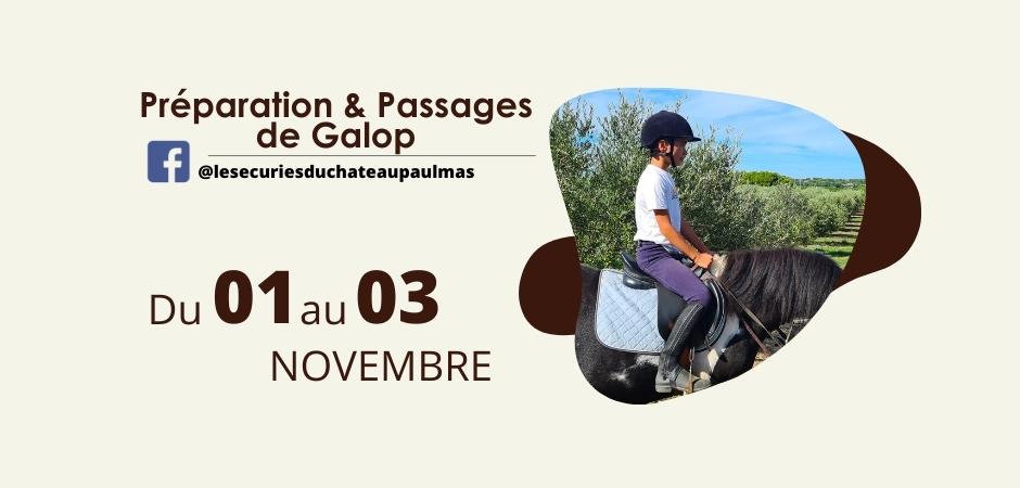 Préparation & Passages de Galop