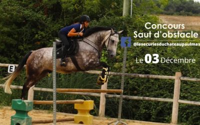 Concours de saut d’obstacle