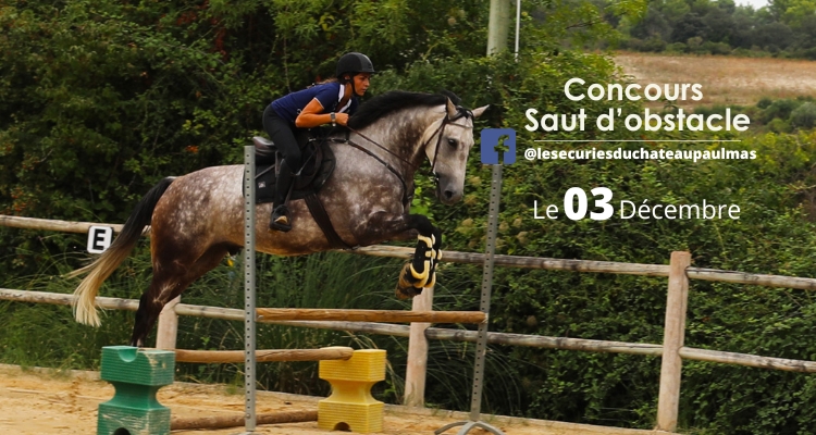 Concours Saut d'obstacle