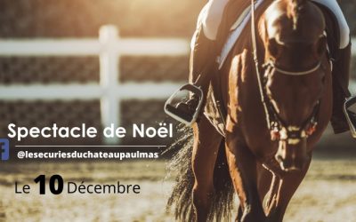 Spectacle de Noël