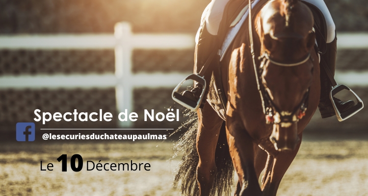 Spectacle de Noël