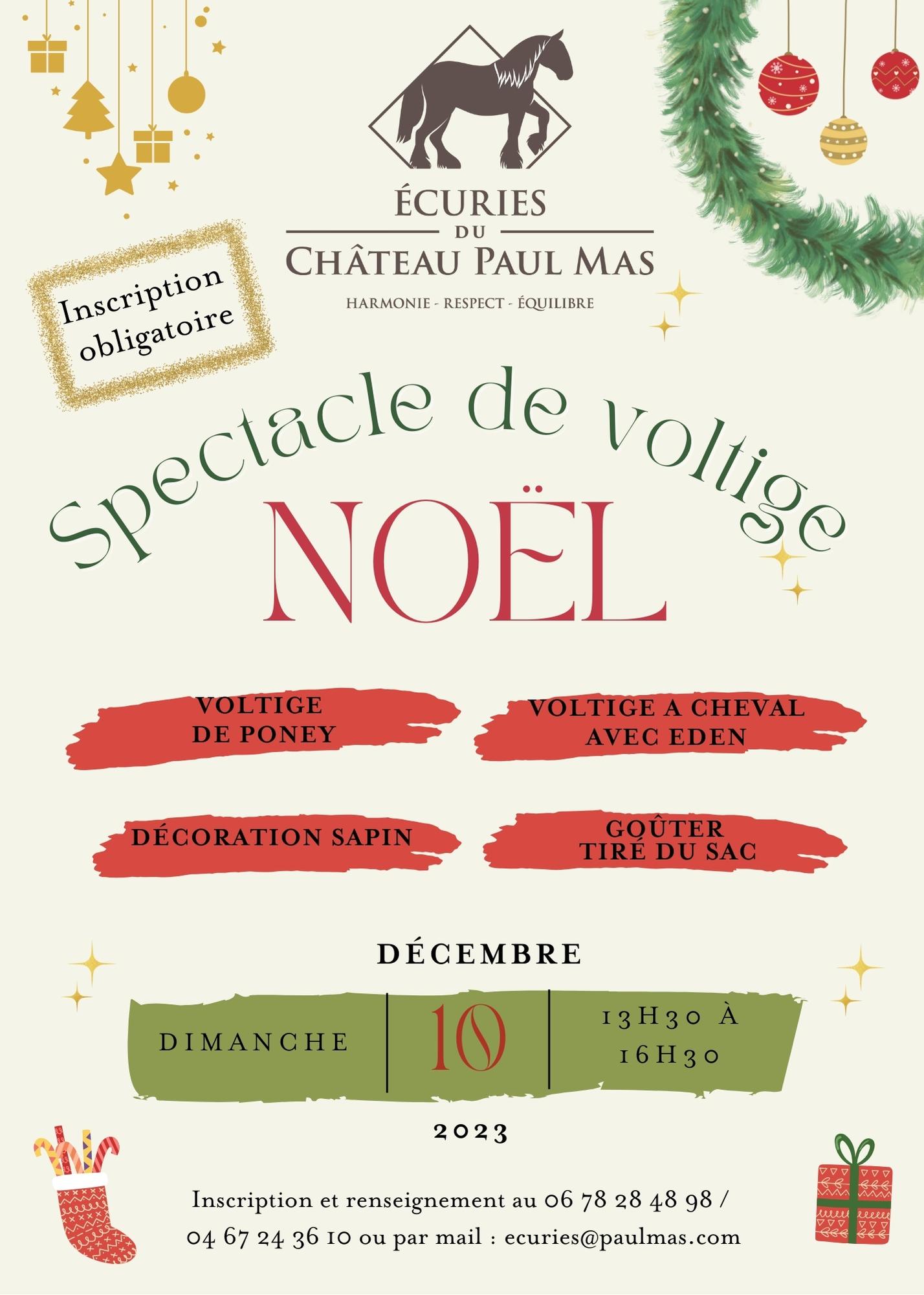 Spectacle de Noël