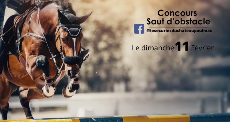 Concours Saut d'obstacle (3)