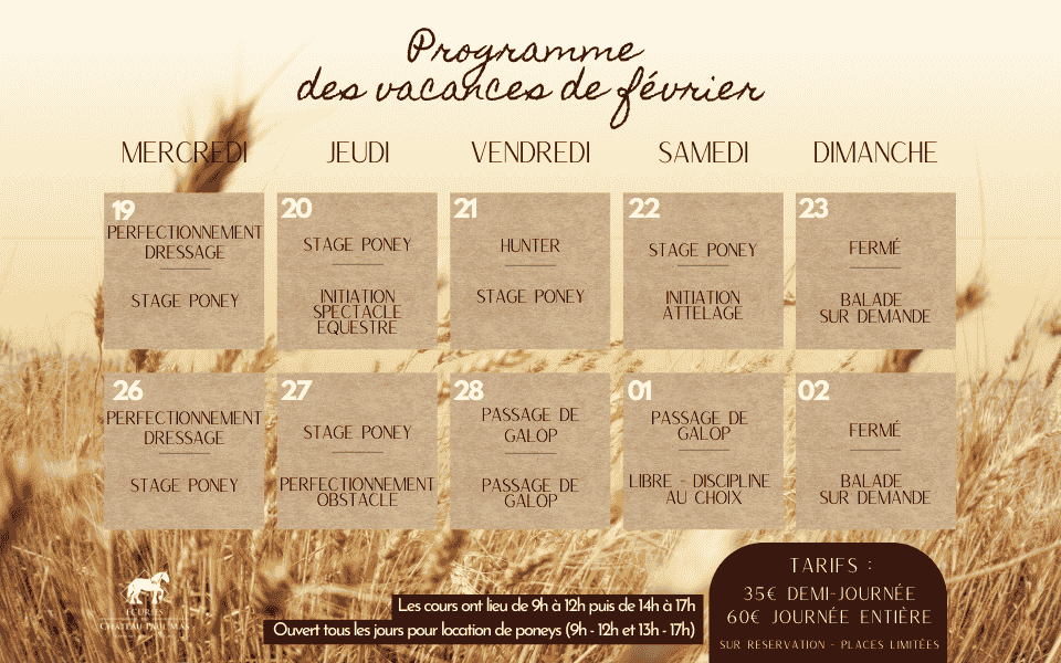 PROGRAMME VACANCES ecuries des domaines paul mas DPM février 2025 PROGRAMME VACANCES ecuries des domaines paul mas DPM février 2025
