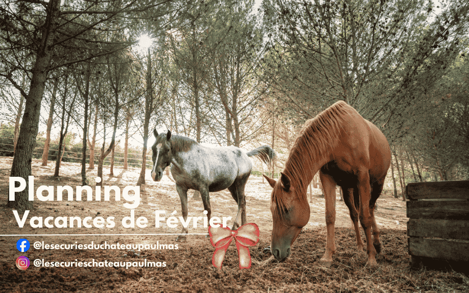 Programme des Vacances de Février aux Écuries du Domaine Paul Mas