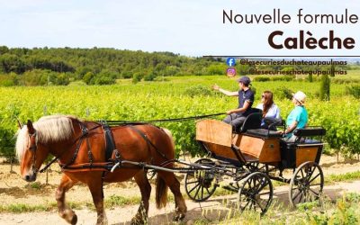 Nouvelle Formule de Balade en calèche