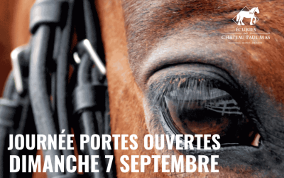 Journée Portes Ouvertes aux Ecuries du Château Paul Mas –  Dimanche 7 Septembre 2025