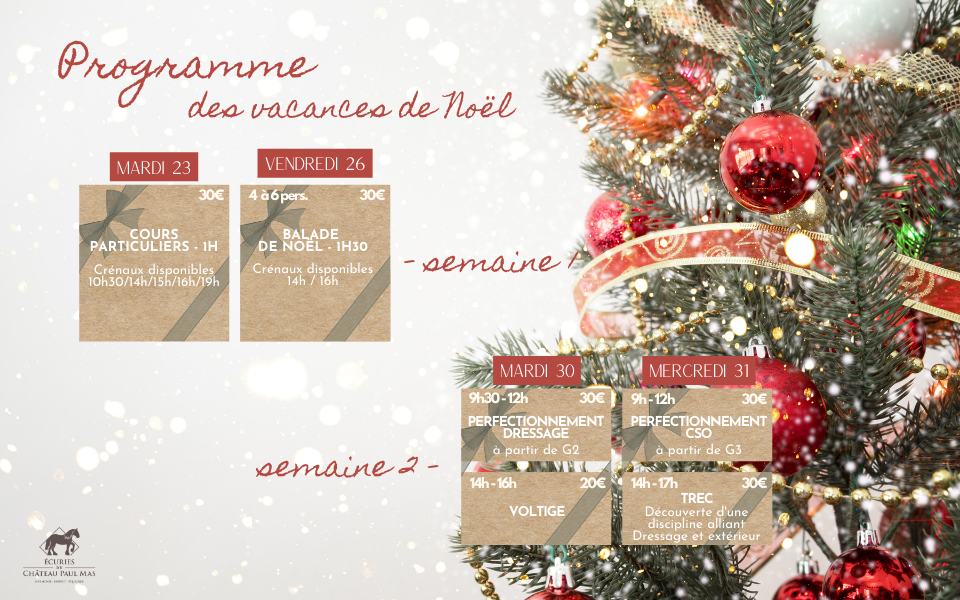 programme vacances noel stage apprentissage ecuries chateau paul mas dressage cheval chevaux montagnac herault