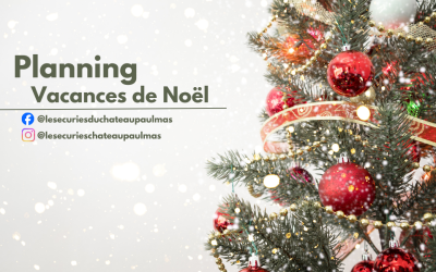 Programme des Vacances de Noël aux Ecuries du Château Paul Mas