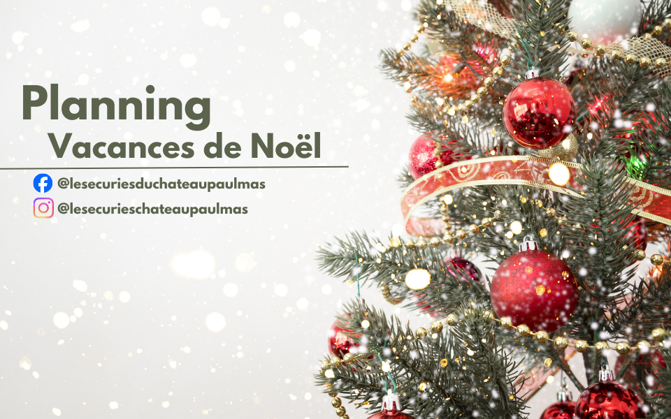 Programme des Vacances de Noël aux Ecuries du Château Paul Mas