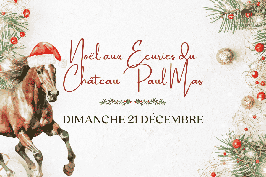NOEL aux Ecuries du Château Paul Mas 2025 journée immersive chevaux 
